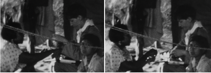 ArticleBrumCoutinho Fig 4-5